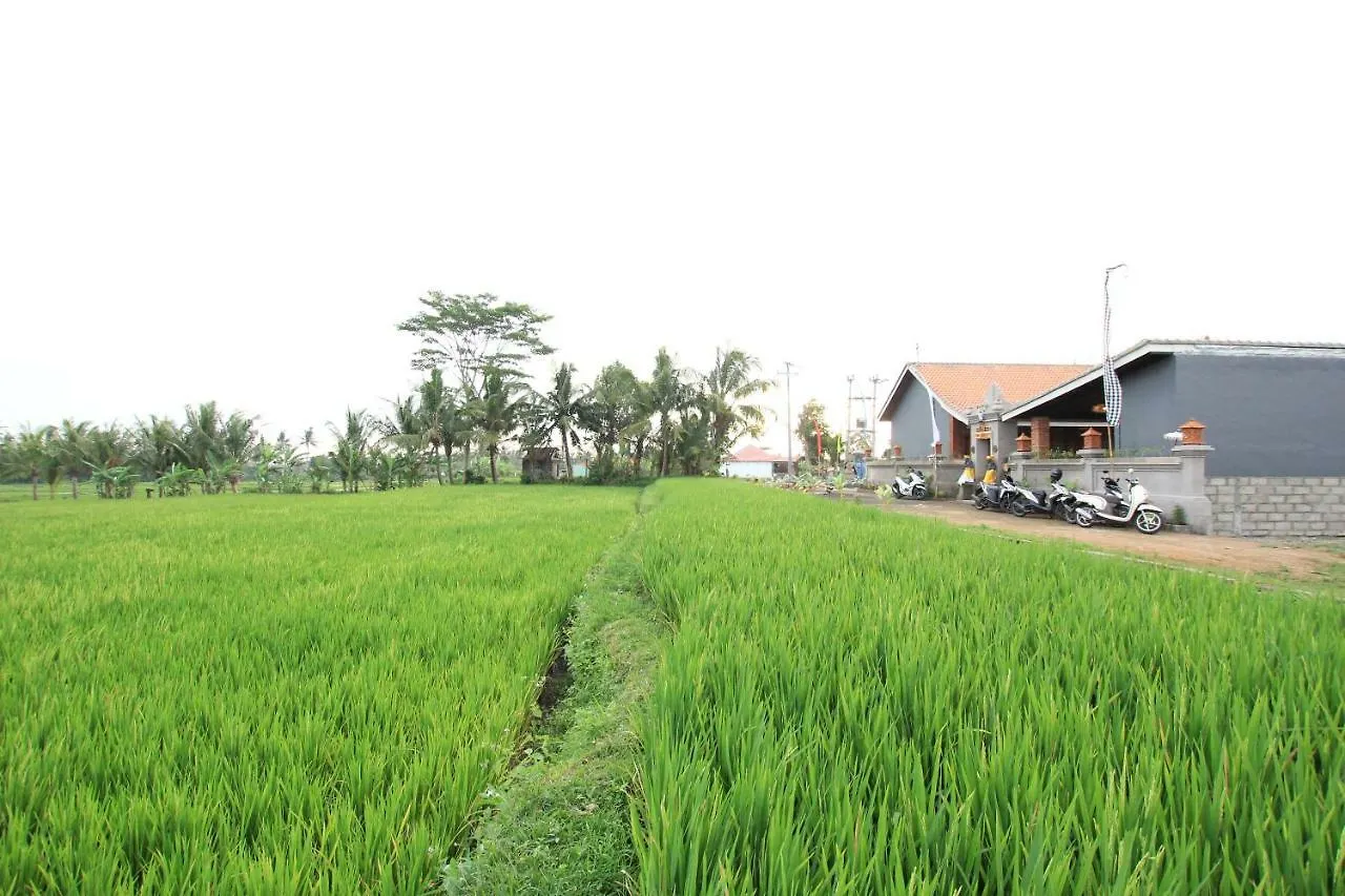 Guest house Ayuna Family Ubud