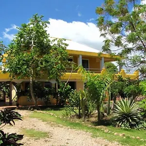 https://wild-spirit.greaterantilleshotels.net
