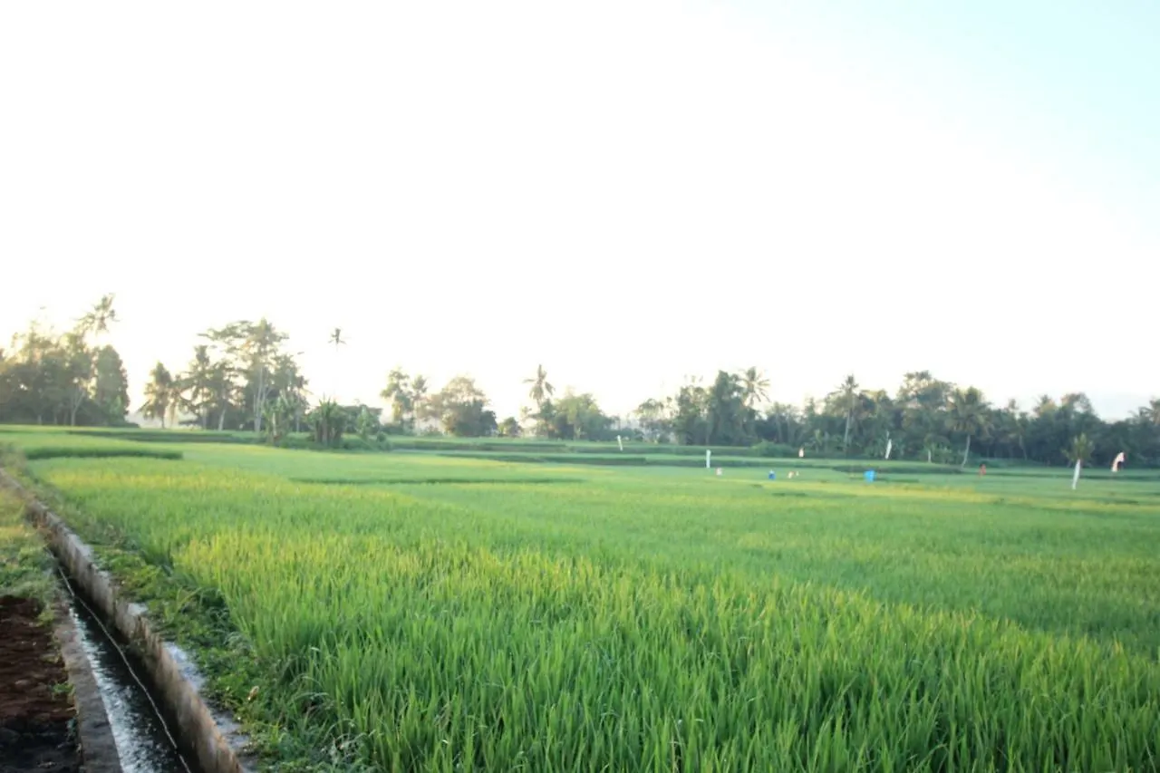 Ayuna Family Ubud Guest house Ubud (Bali)