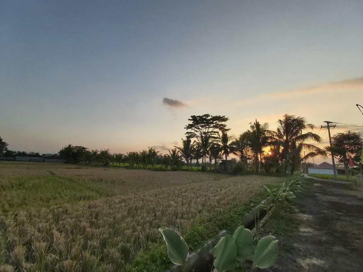Guest house Ayuna Family Ubud