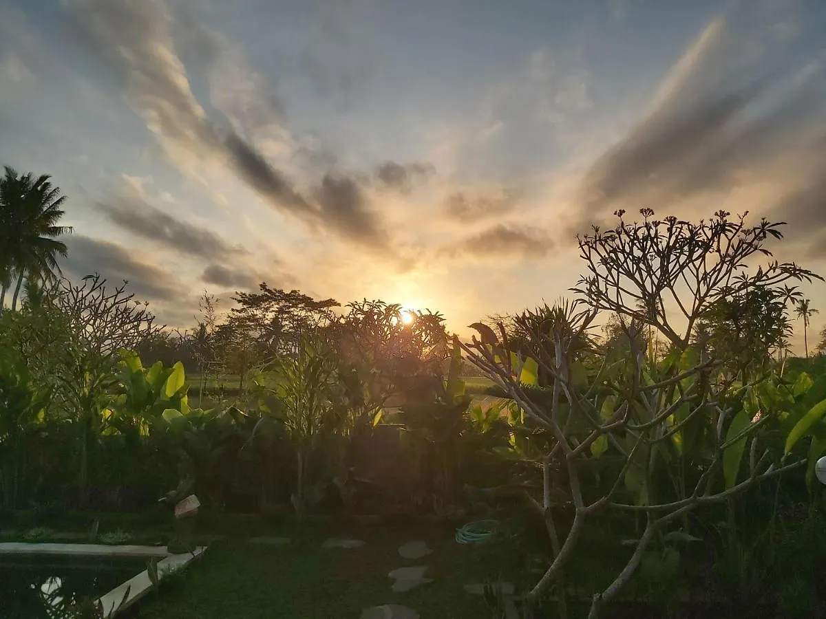 *** Guest house Ayuna Family Ubud Indonesia