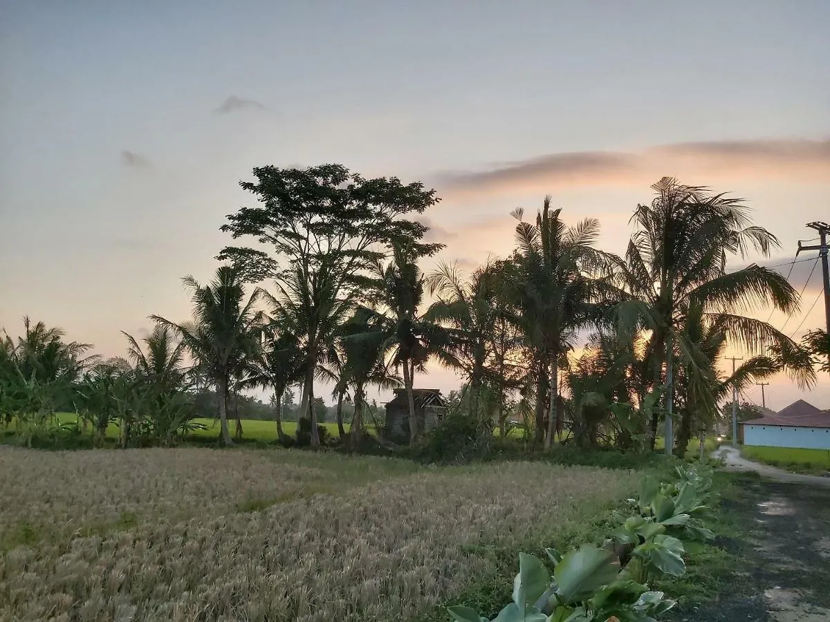 Maison d'hôtes Ayuna Family Ubud